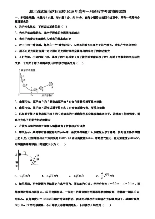 湖北省武汉市达标名校2019年高考一月适应性考试物理试题含解析