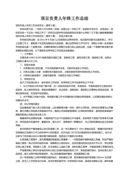 项目负责人年终工作总结范文（通用5篇）