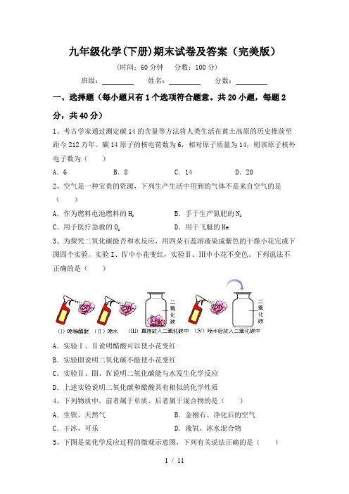 九年级化学(下册)期末试卷及答案(完美版)