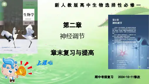 人教版高中生物选择性必修一  第二章 复习与提高