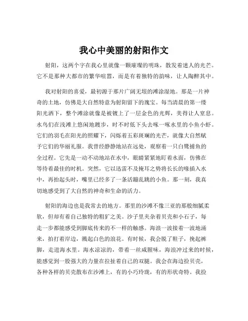我心中美丽的射阳作文