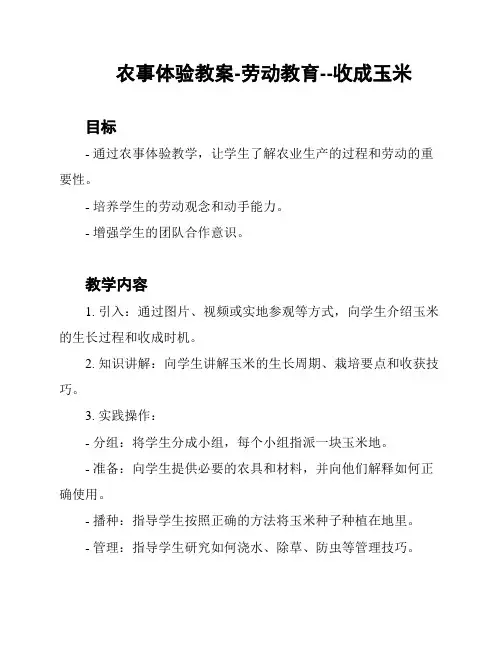 农事体验教案-劳动教育--收成玉米