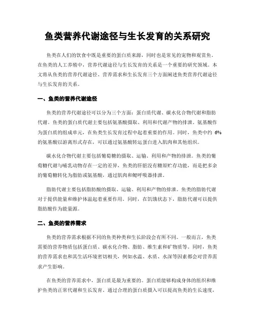 鱼类营养代谢途径与生长发育的关系研究