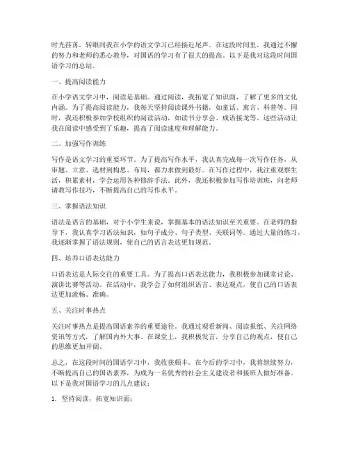 小学生国语提升总结范文