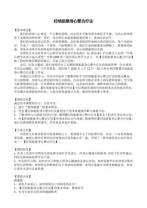 经络能量身心整合疗法