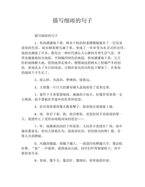 描写细雨的句子