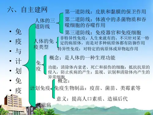 4《安全用药与急救》课件(共45张PPT)