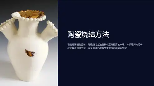 《陶瓷烧结方法》课件