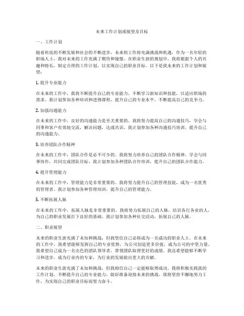 未来工作计划或展望及目标