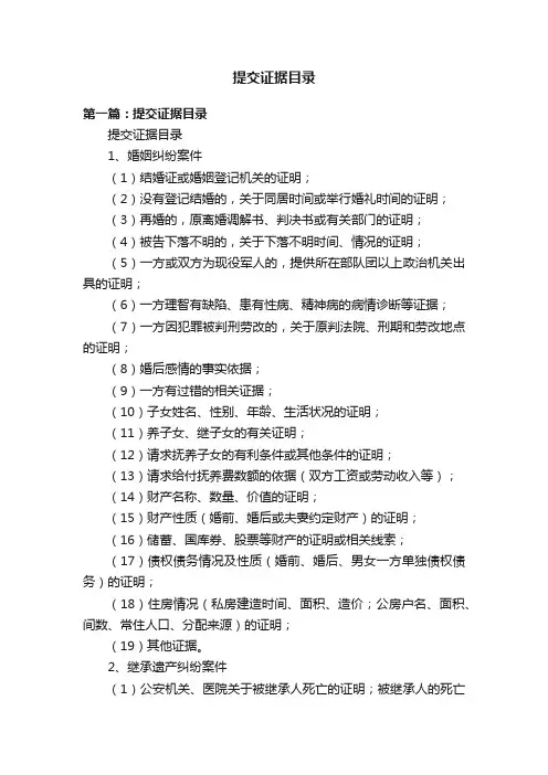 提交证据目录