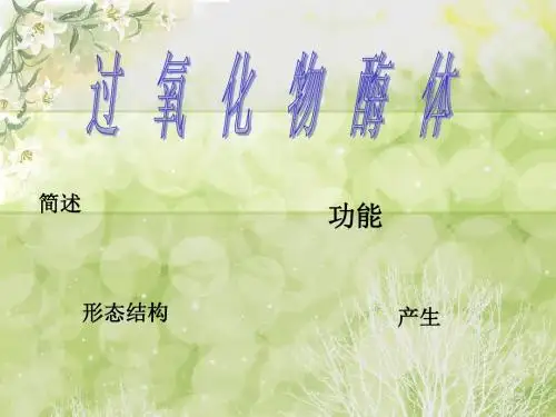 过氧化物酶体PPT课件