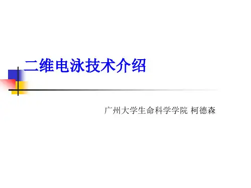 2019年二维电泳技术介绍.ppt