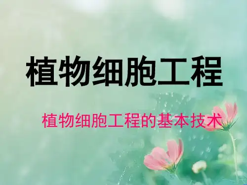 植物细胞工程PPT教学课件