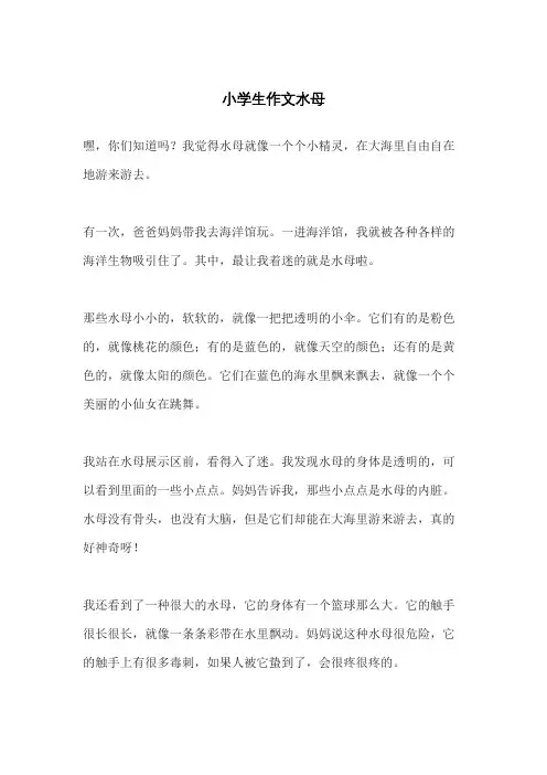 小学生作文水母