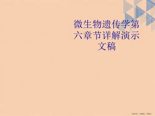 微生物遗传学第六章节详解演示文稿