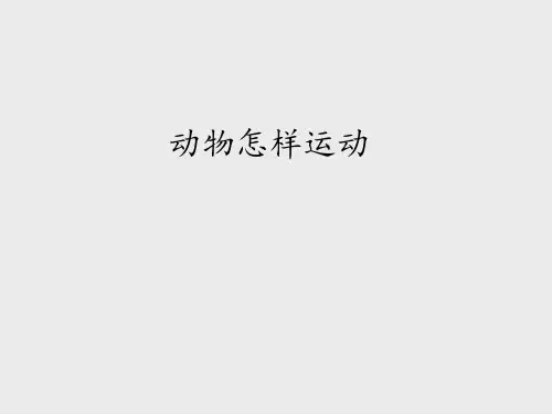 鄂教版小学五年级科学下册：动物怎样运动_课件1