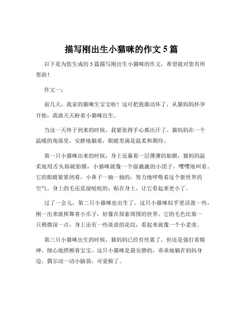描写刚出生小猫咪的作文5篇