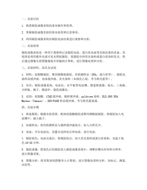 凝胶成像设计实验报告