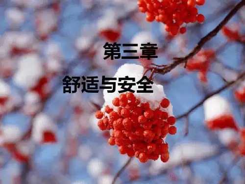 基础护理：舒适与安全