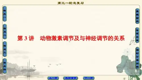 2018届一轮复习 人教版 动物激素调节及与神经调节的关系 课件(全国通用)