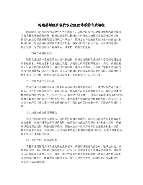 构建县域经济现代农业经营体系的有效途径