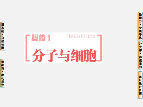 高考生物 一轮复习 第1讲 走近细胞 新人教必修1