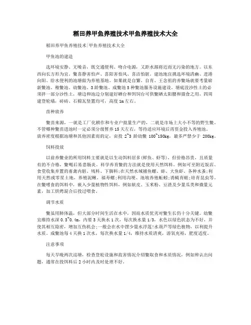 稻田养甲鱼养殖技术甲鱼养殖技术大全