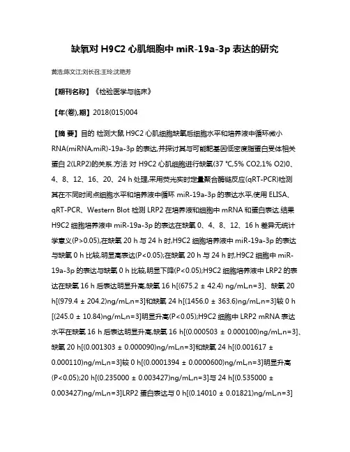 缺氧对H9C2心肌细胞中miR-19a-3p表达的研究