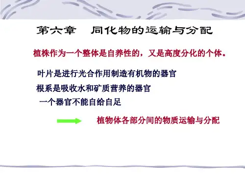 第六章 同化物的运输与分配