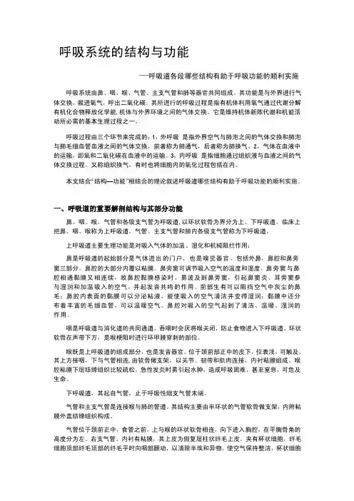 【编辑】呼吸系统的结构与功能