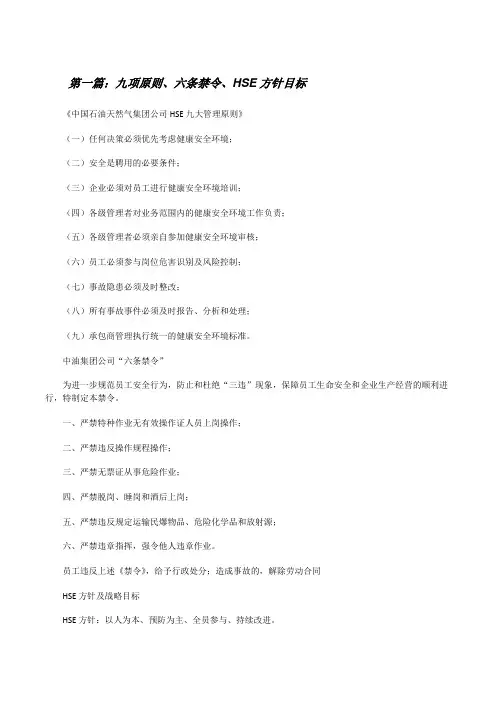 九项原则、六条禁令、HSE方针目标[修改版]