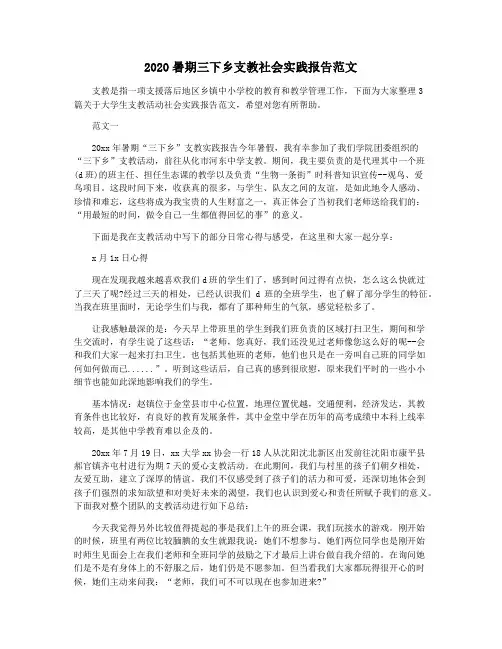 2020暑期三下乡支教社会实践报告范文