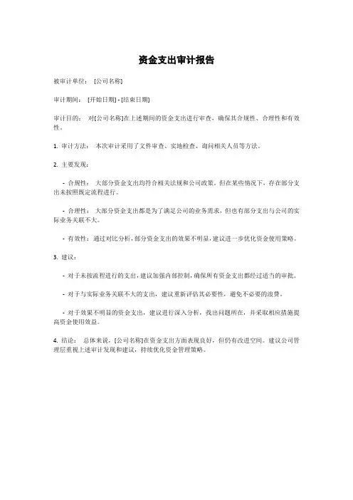 资金支出审计报告