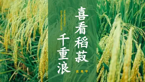 课件PPT-喜看稻菽千重浪