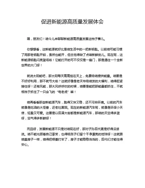 促进新能源高质量发展体会