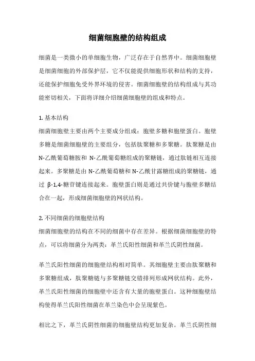 细菌细胞壁的结构组成