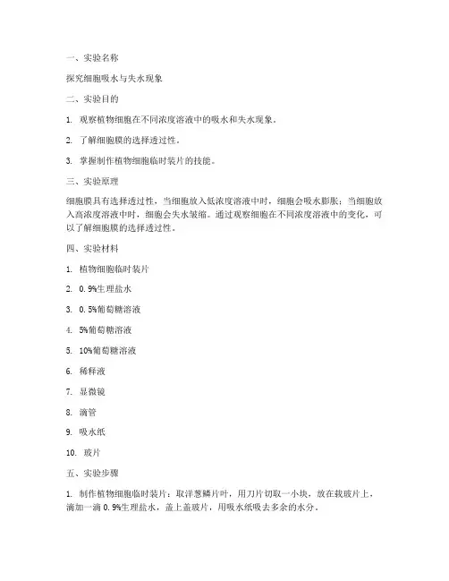 课堂生物小实验报告
