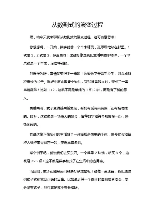 从数到式的演变过程