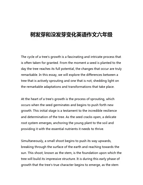 树发芽和没发芽变化英语作文六年级