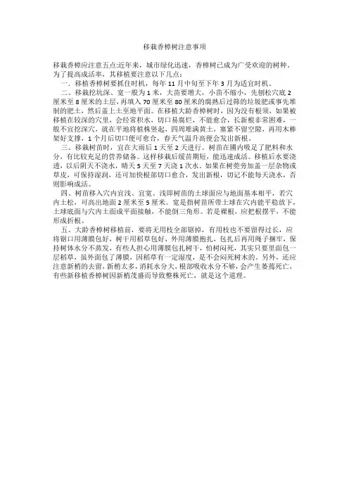 移栽香樟树注意事项