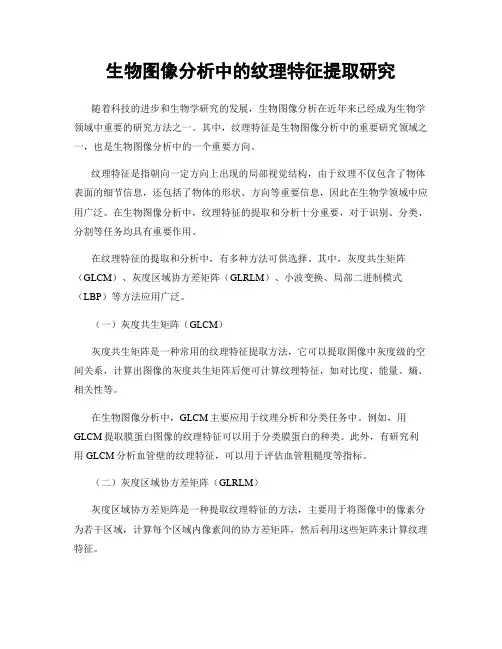 生物图像分析中的纹理特征提取研究