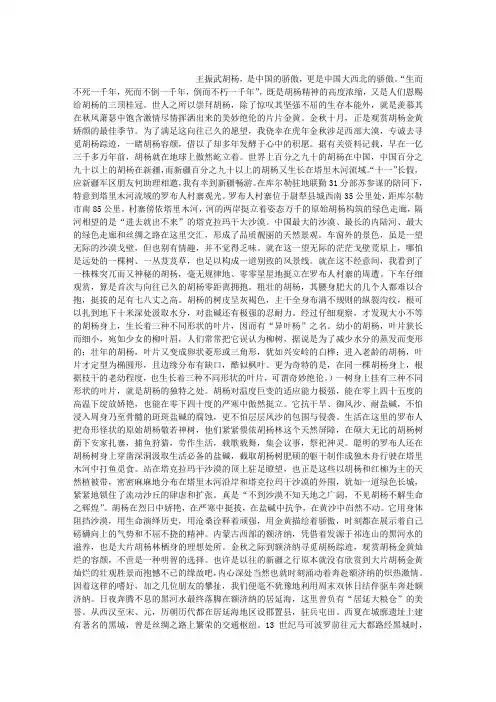 胡杨精魂三千年