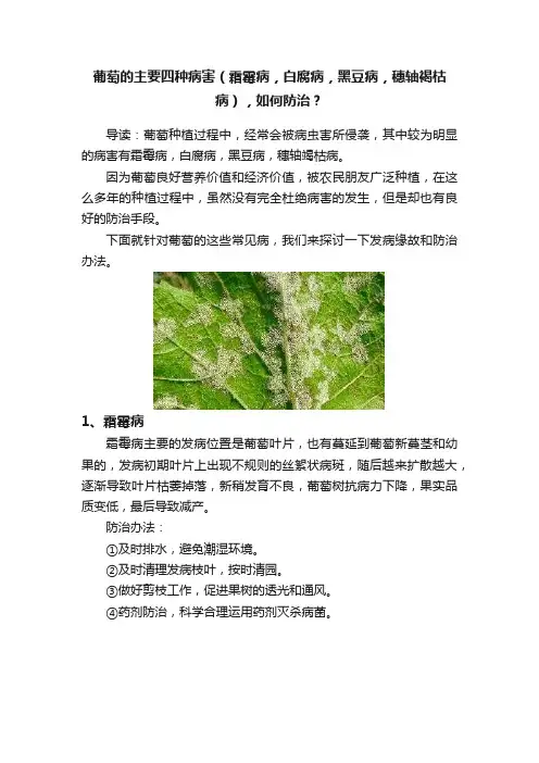 葡萄的主要四种病害（霜霉病，白腐病，黑豆病，穗轴褐枯病），如何防治？