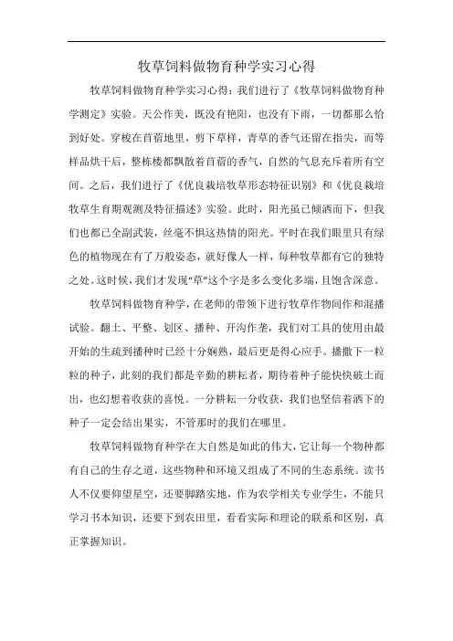 牧草饲料做物育种学实习心得