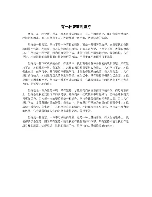 有一种智慧叫坚持