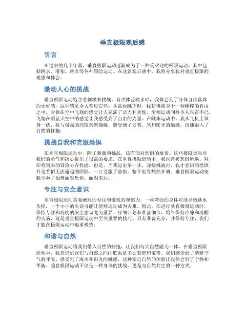 垂直极限观后感
