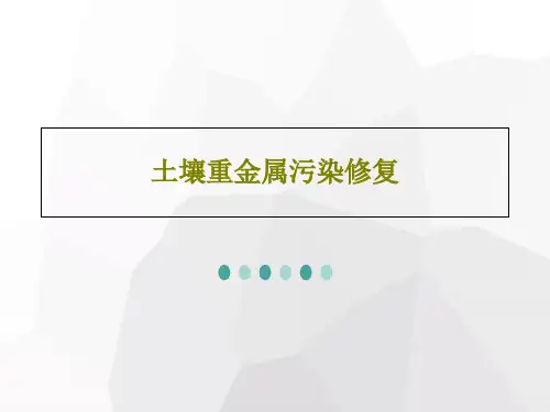 土壤重金属污染修复47页PPT
