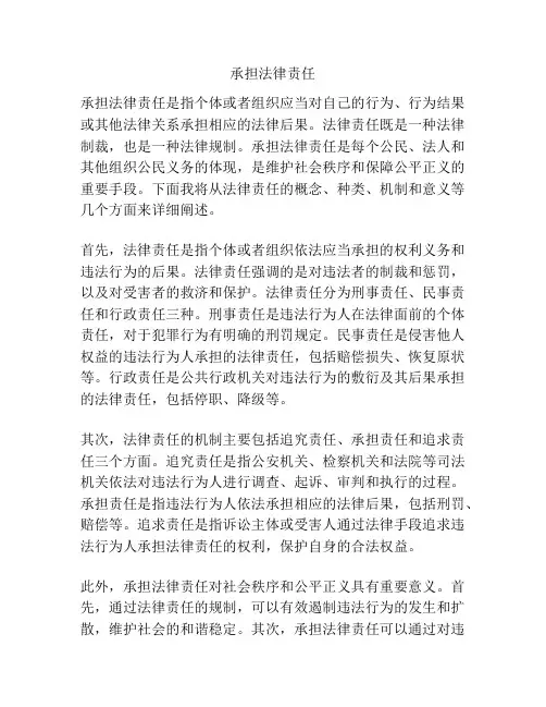承担法律责任