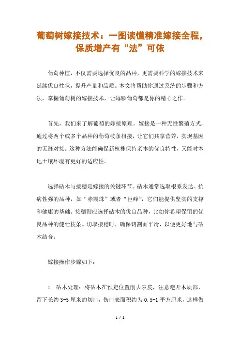 葡萄树嫁接方法
