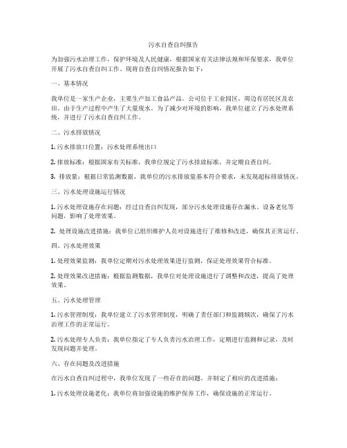 污水自查自纠报告